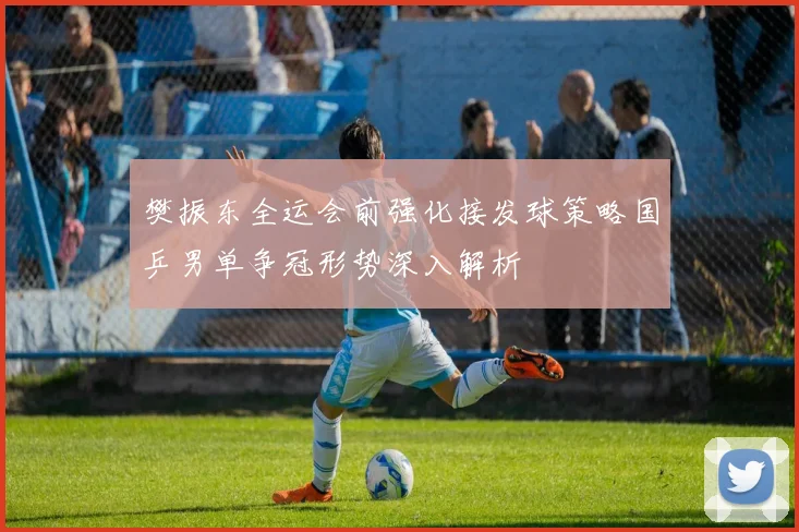 樊振东全运会前强化接发球策略国乒男单争冠形势深入解析